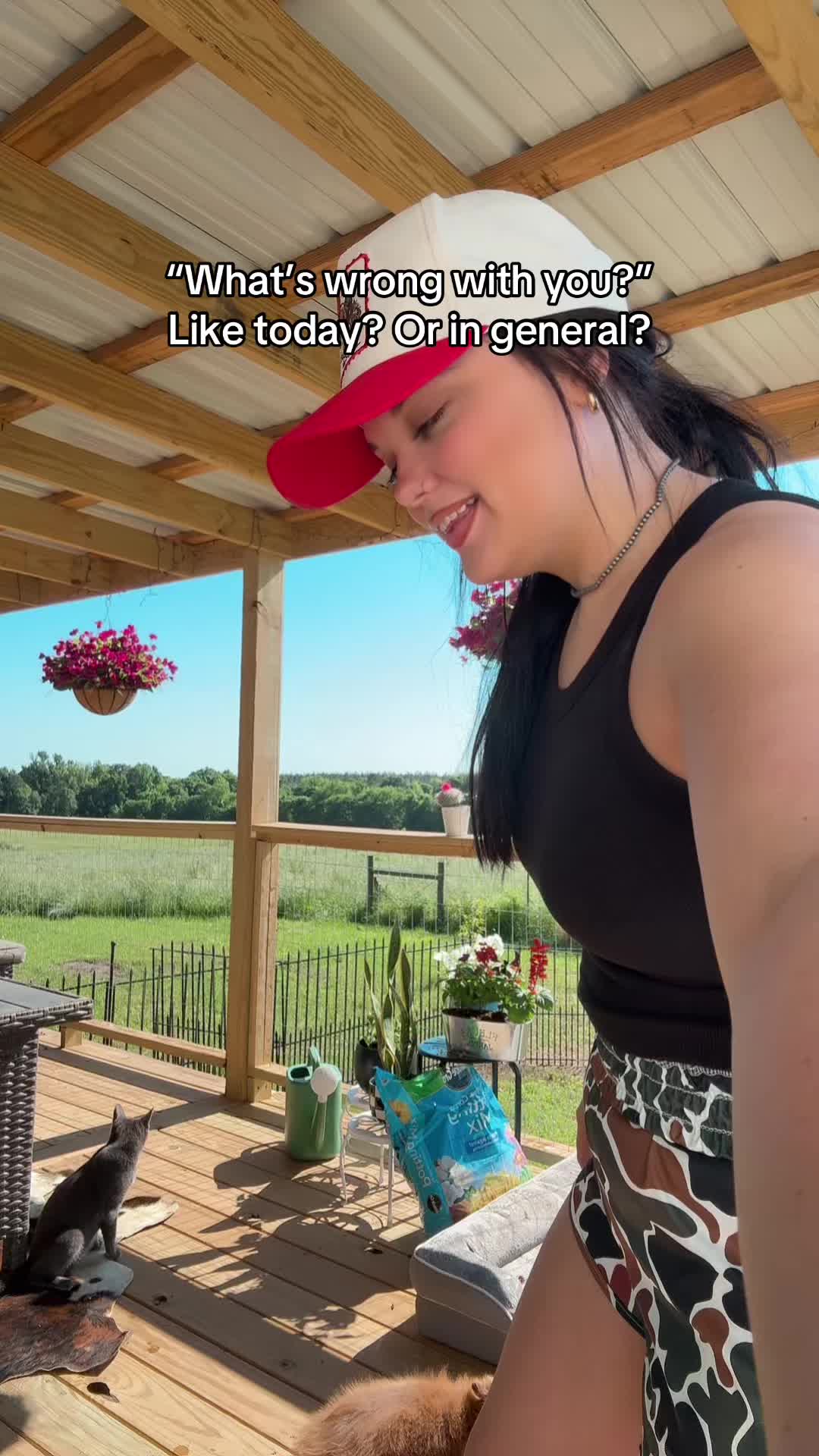 @alliekat🐱