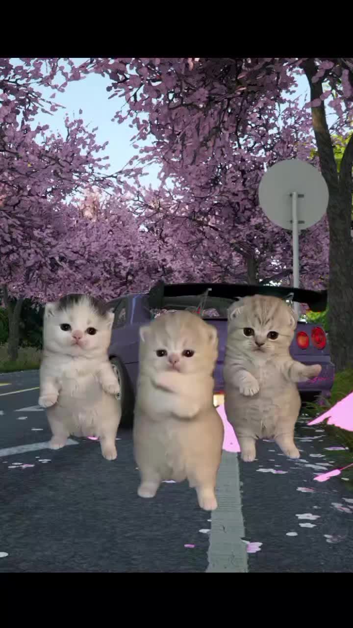 @𝘼𝙧𝙗𝙪𝙯