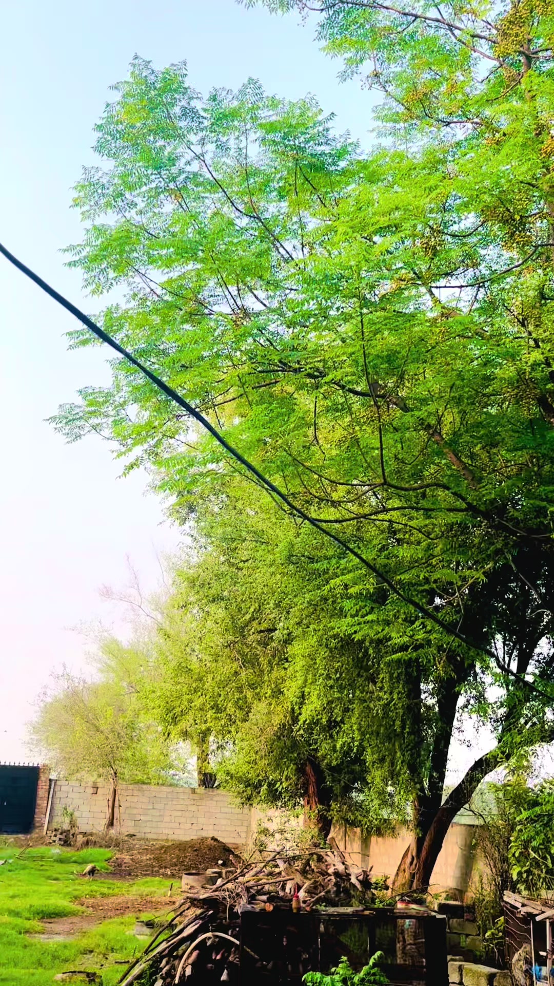 @125xJannan