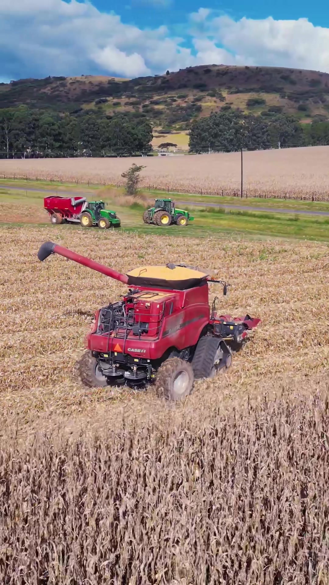 @Frankly Farming