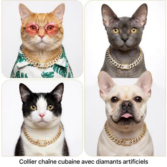 @26 Le Chat