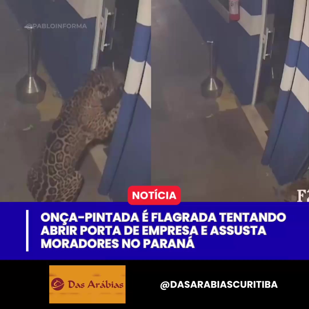 @Pablo Informa