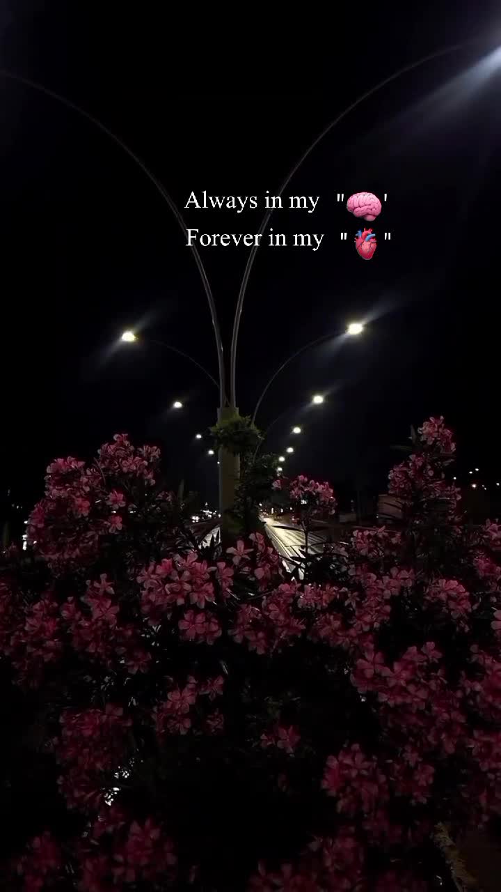 @ð·ððððððð