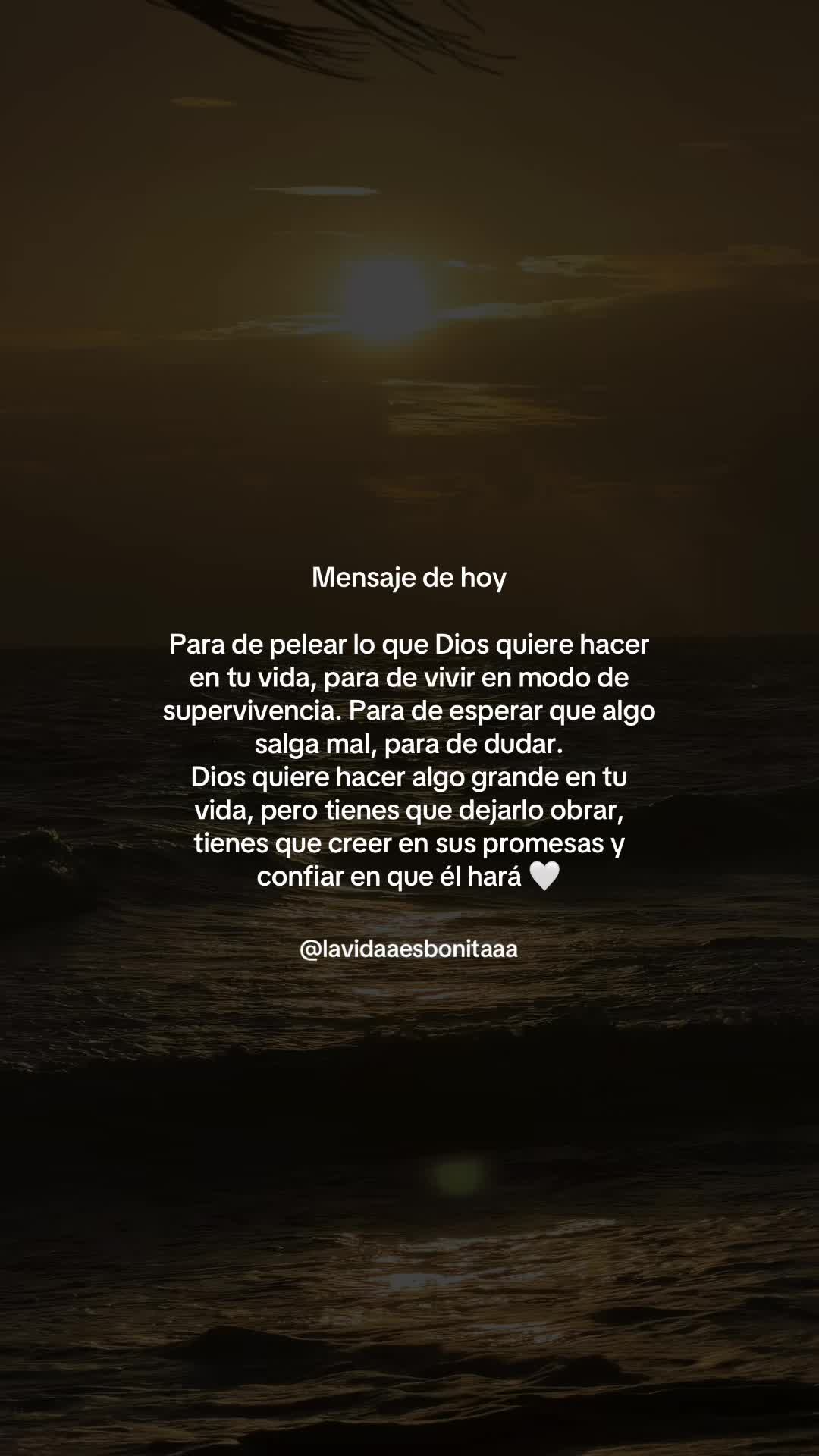 @vidabonita❤️🩹