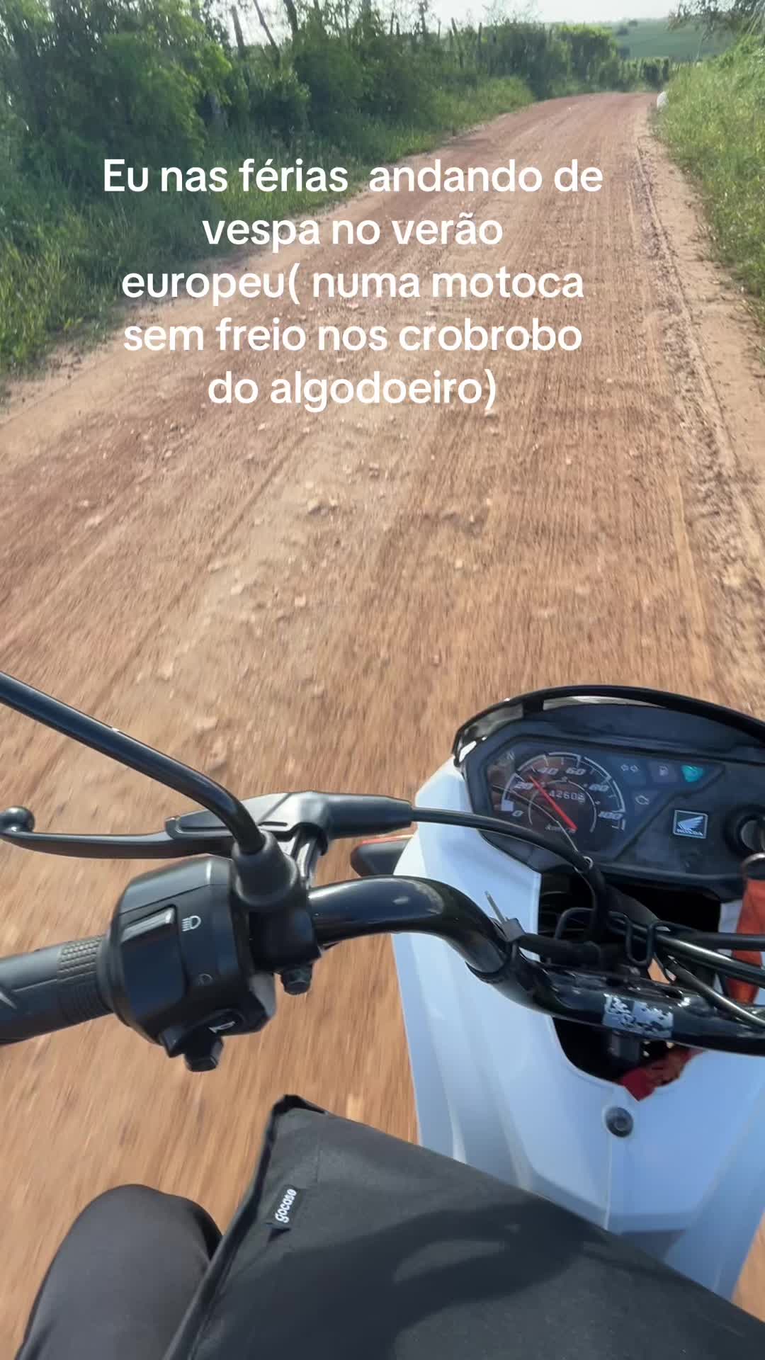 @Maria🇻🇦