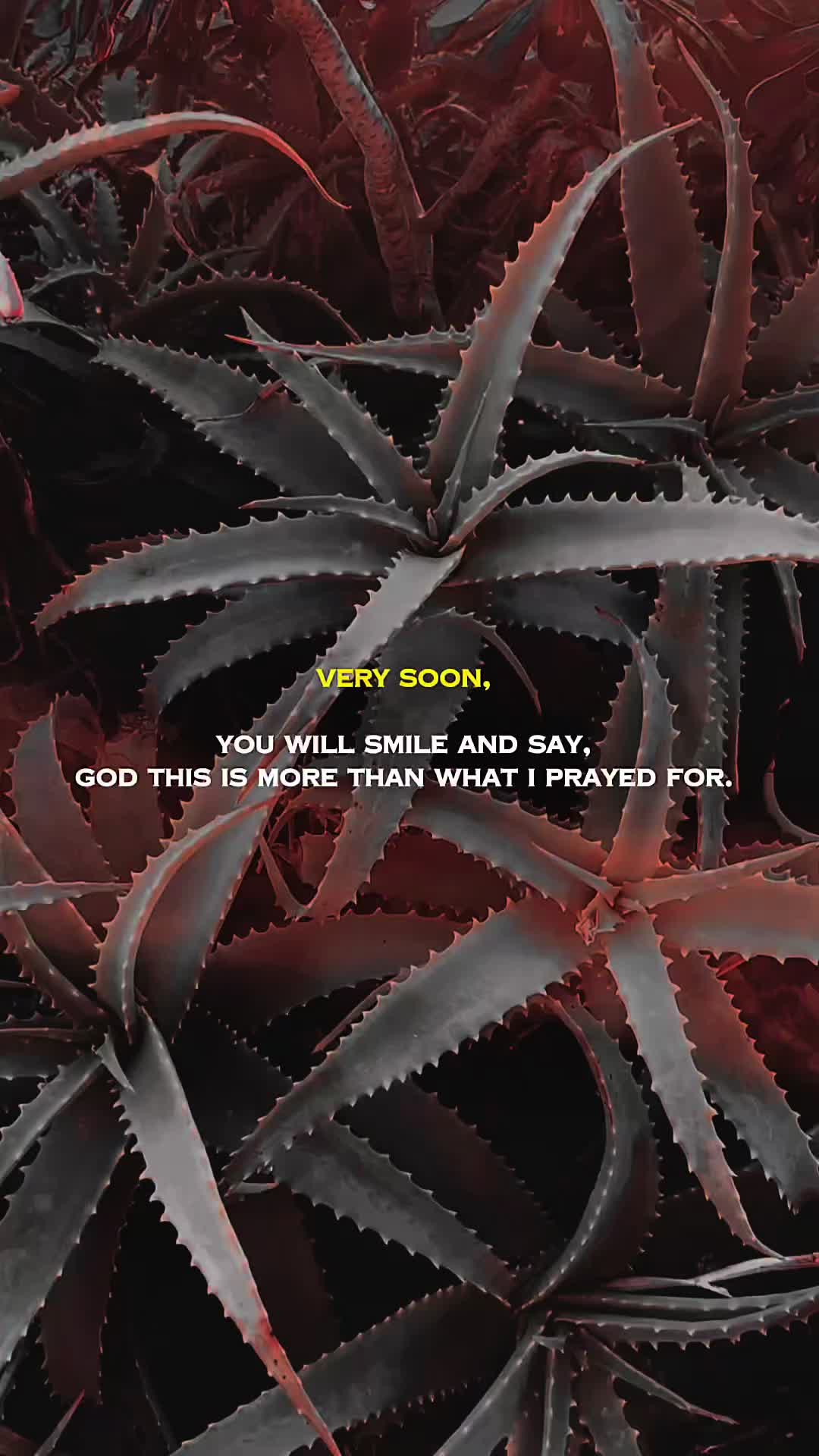@Andrea Oatman💫