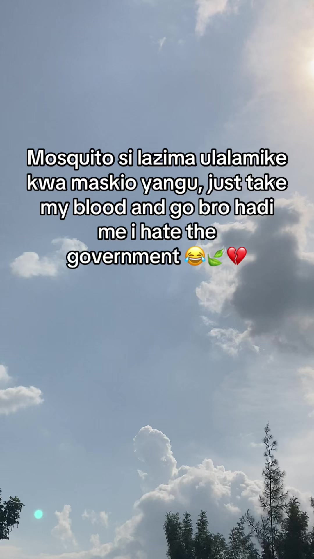 @All✬n𓆉