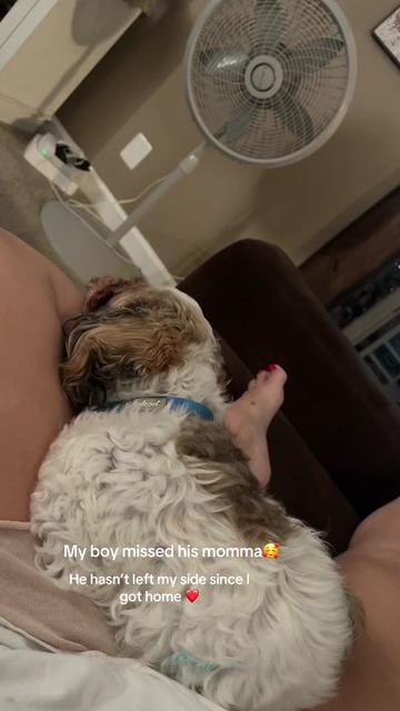 @Maryann_In_Maryland