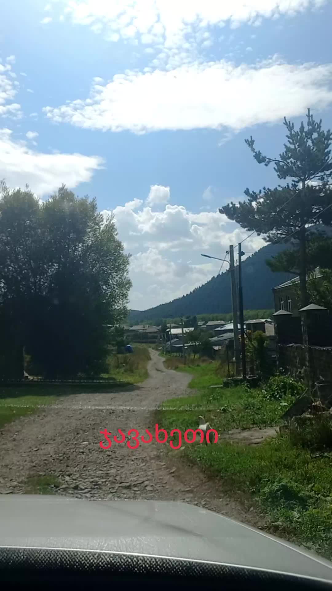@Maia Kobakhidze675
