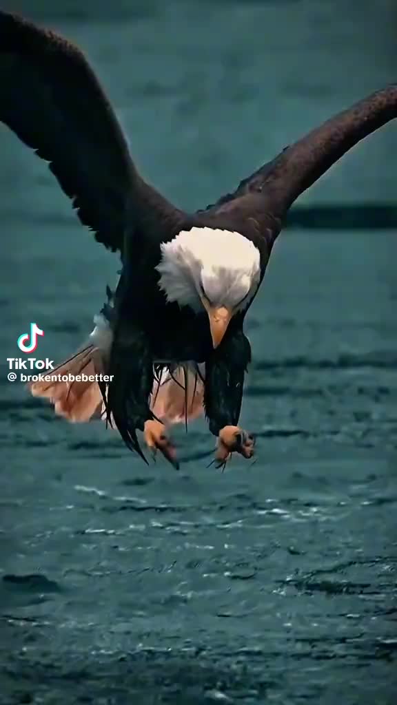 @NOIGEL KUR 6,6,66