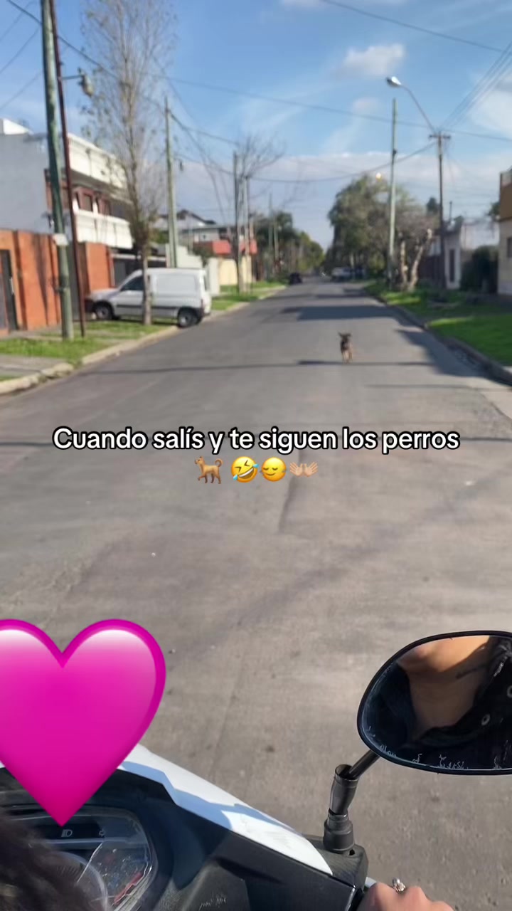 @aylu_oficial23