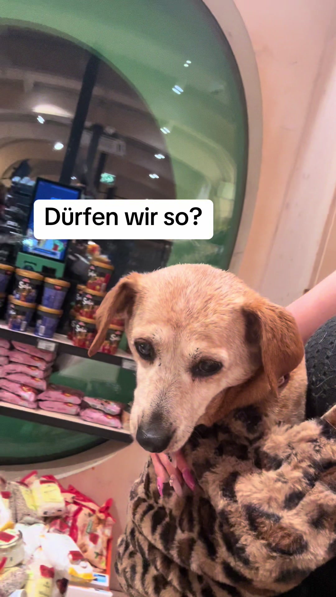 @Die Mit Dem Dackel Tanzt