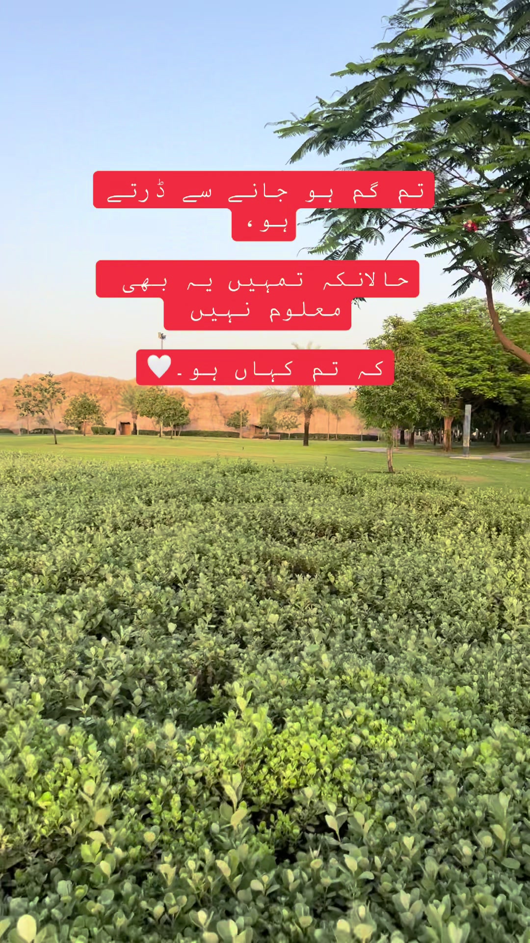 @Sumbal Kayani🦋