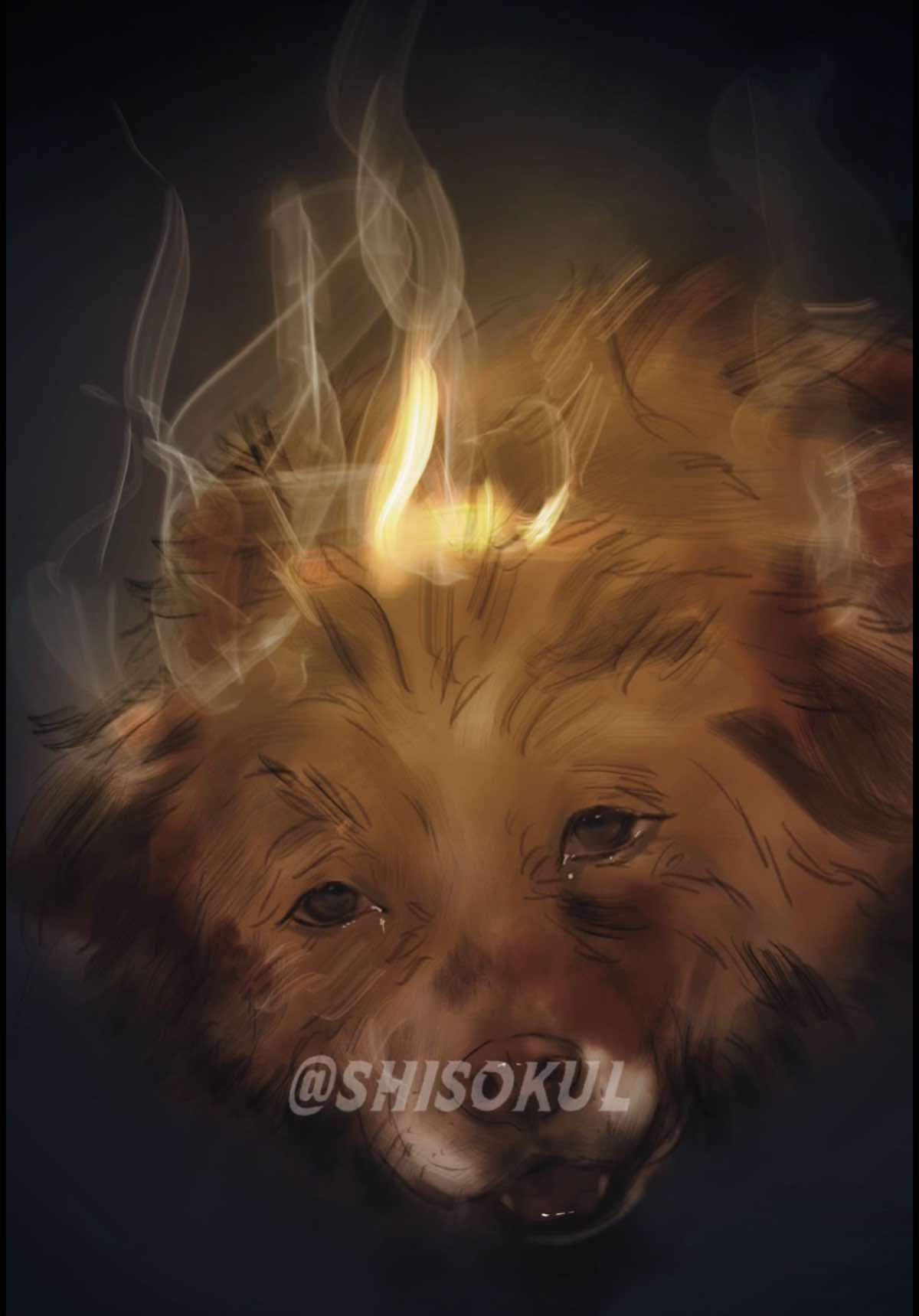 @shisokul