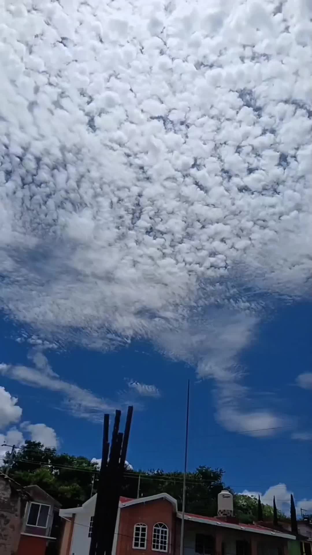 @guadalupemendez668
