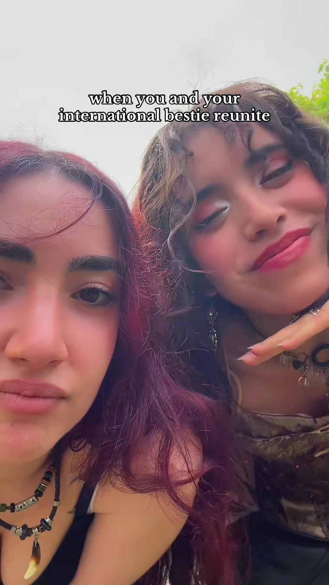 @marlín paloma<3