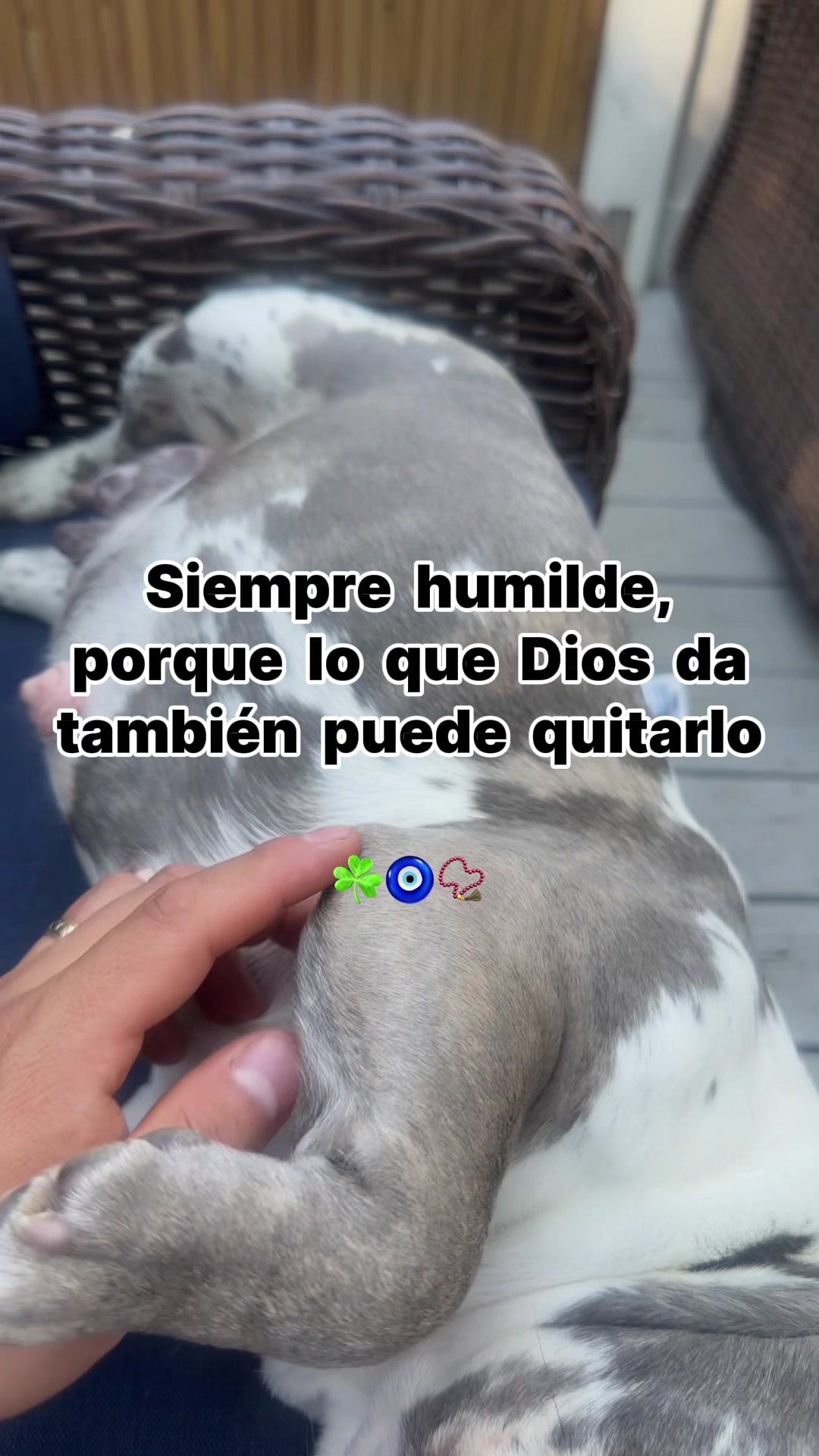 @HEctor👑El REY