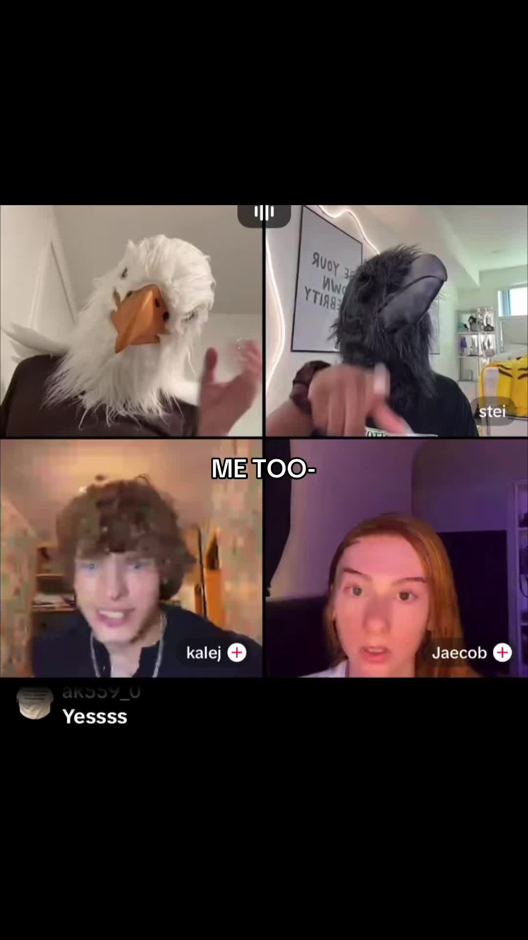 @steitiva