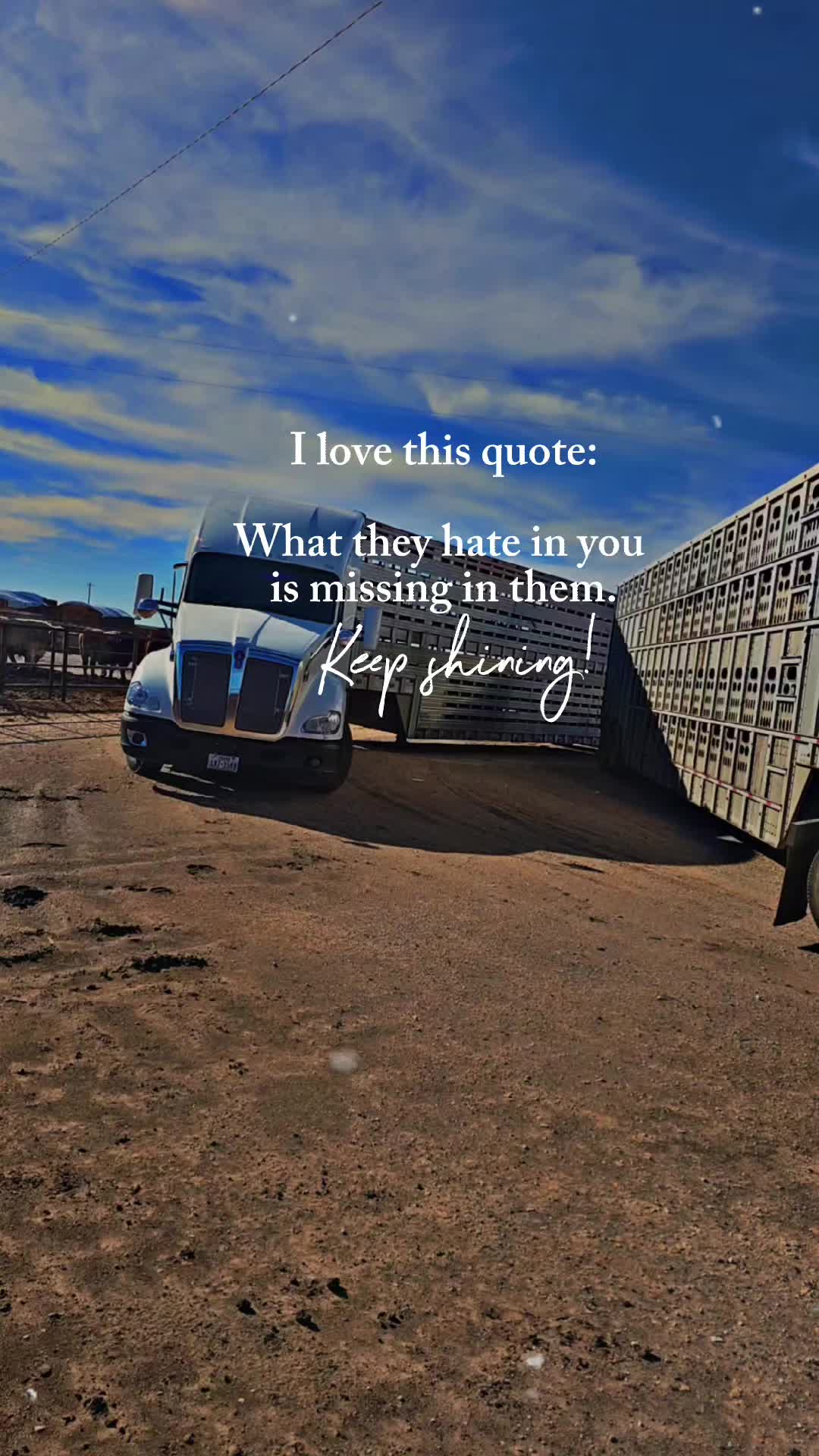 @BigBoss💪🤠🌙🐂🐂🐂
