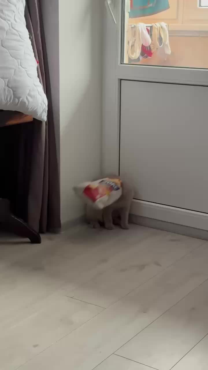 @Діма Артюшкін
