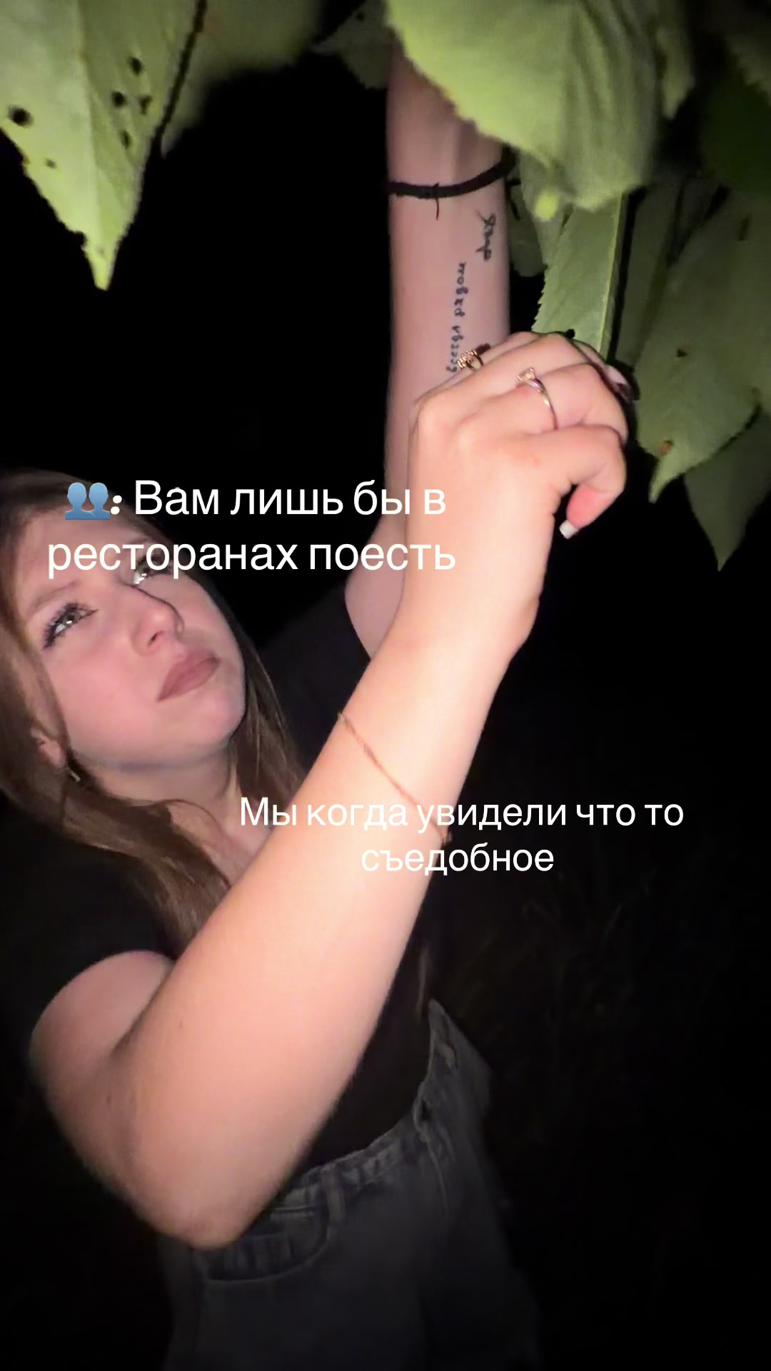 @🐾