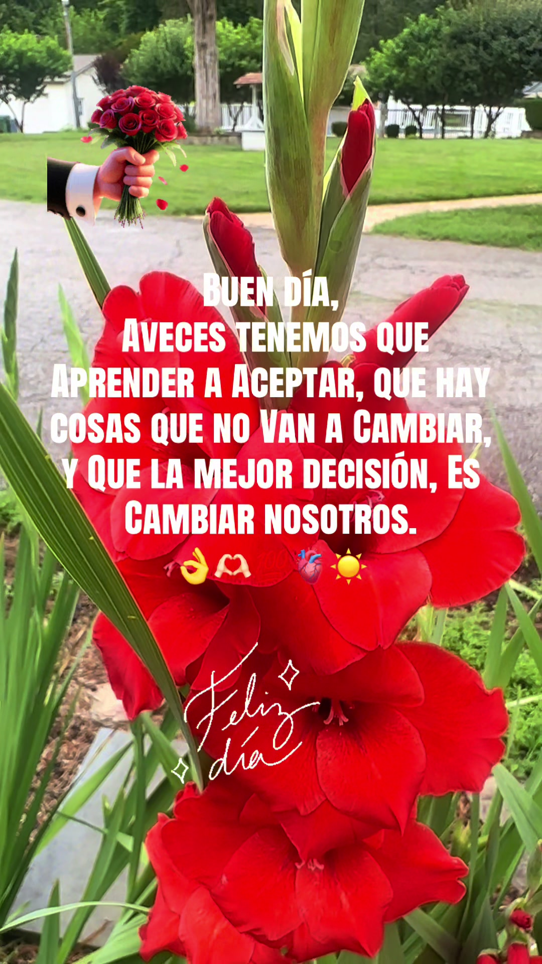 @L_Lily05☘️🌏🙌🏻
