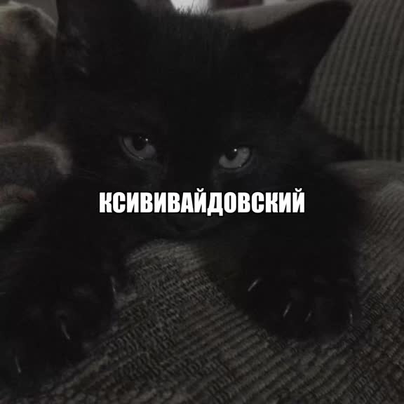 @Арбитраж тут 👇