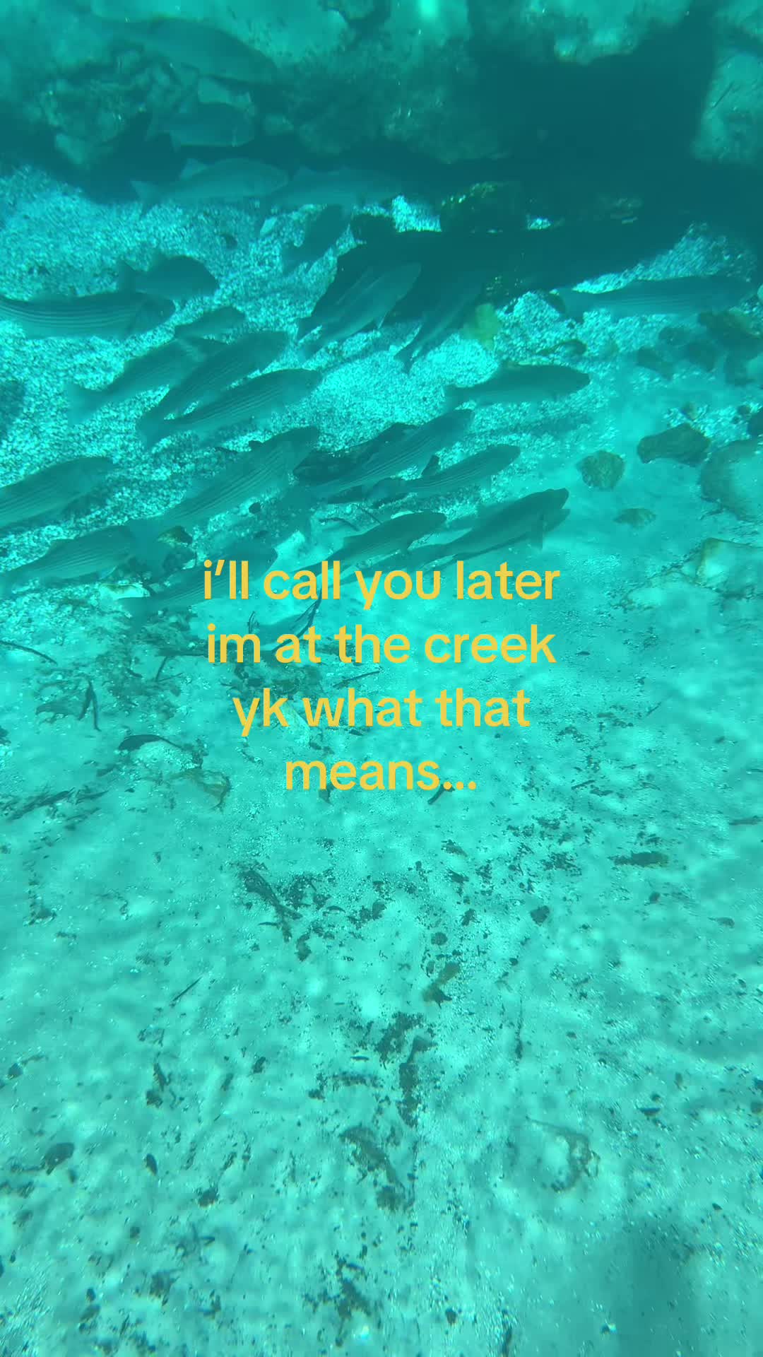 @ᴄᴏʀʏ ᴀʀɪᴀɴᴀ ❀
