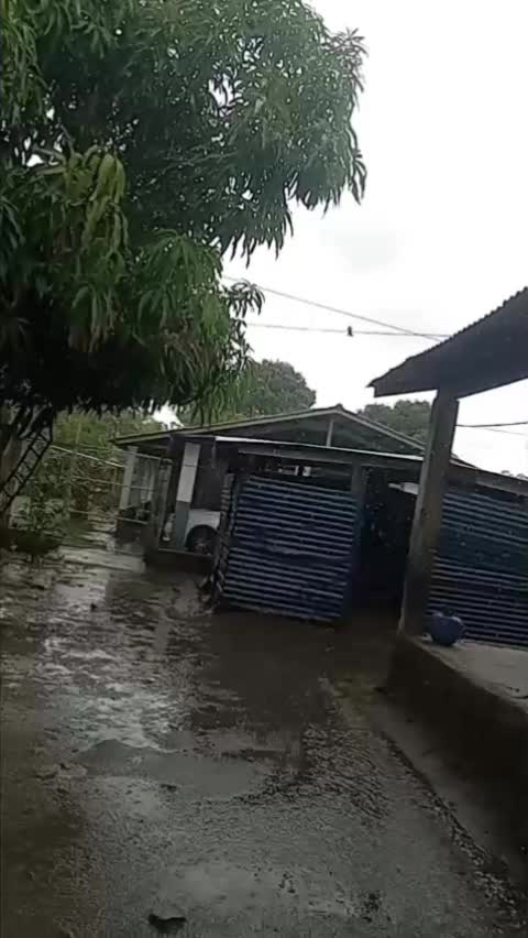 @Carlos molina