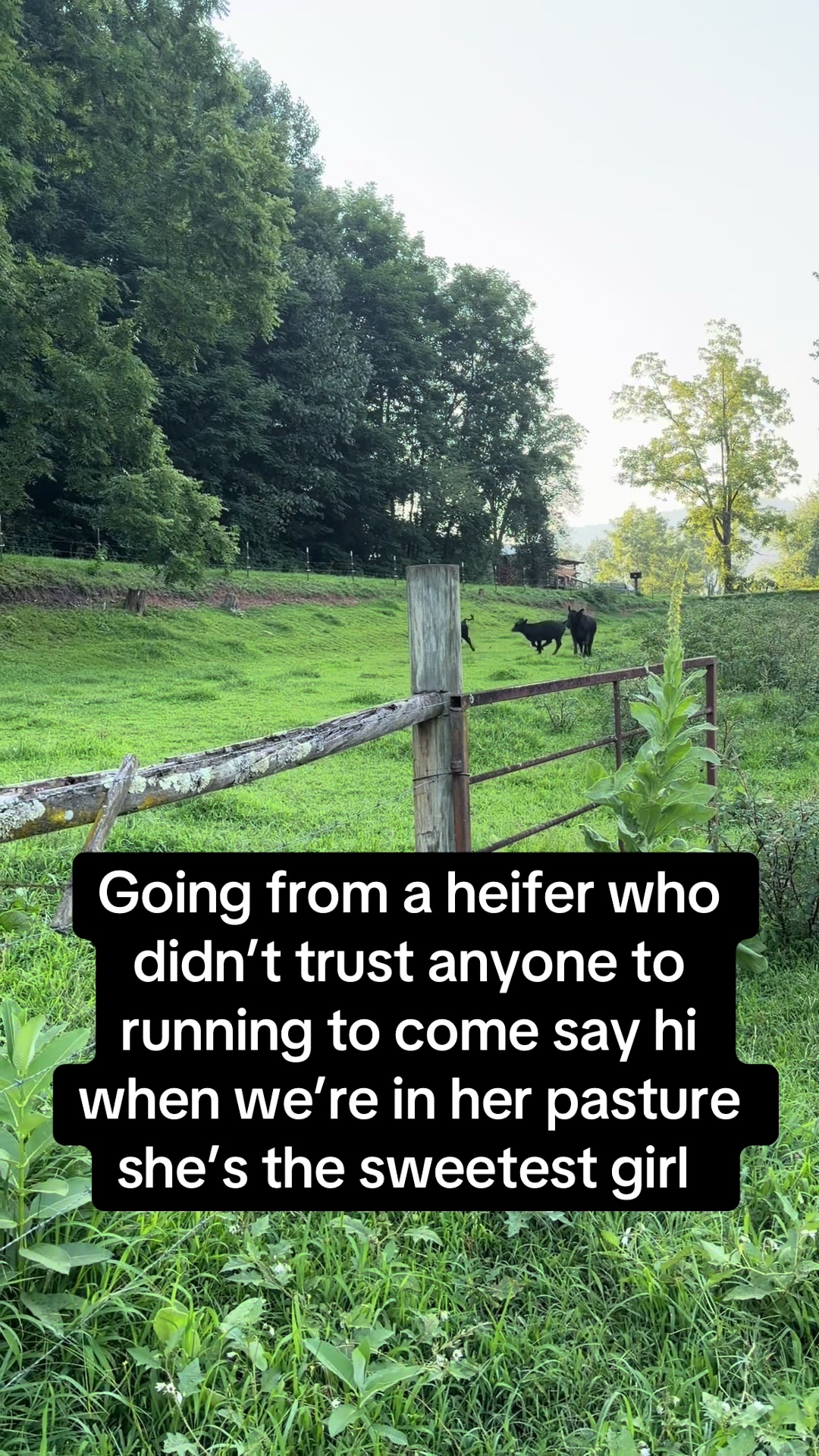 @drakesagadventures
