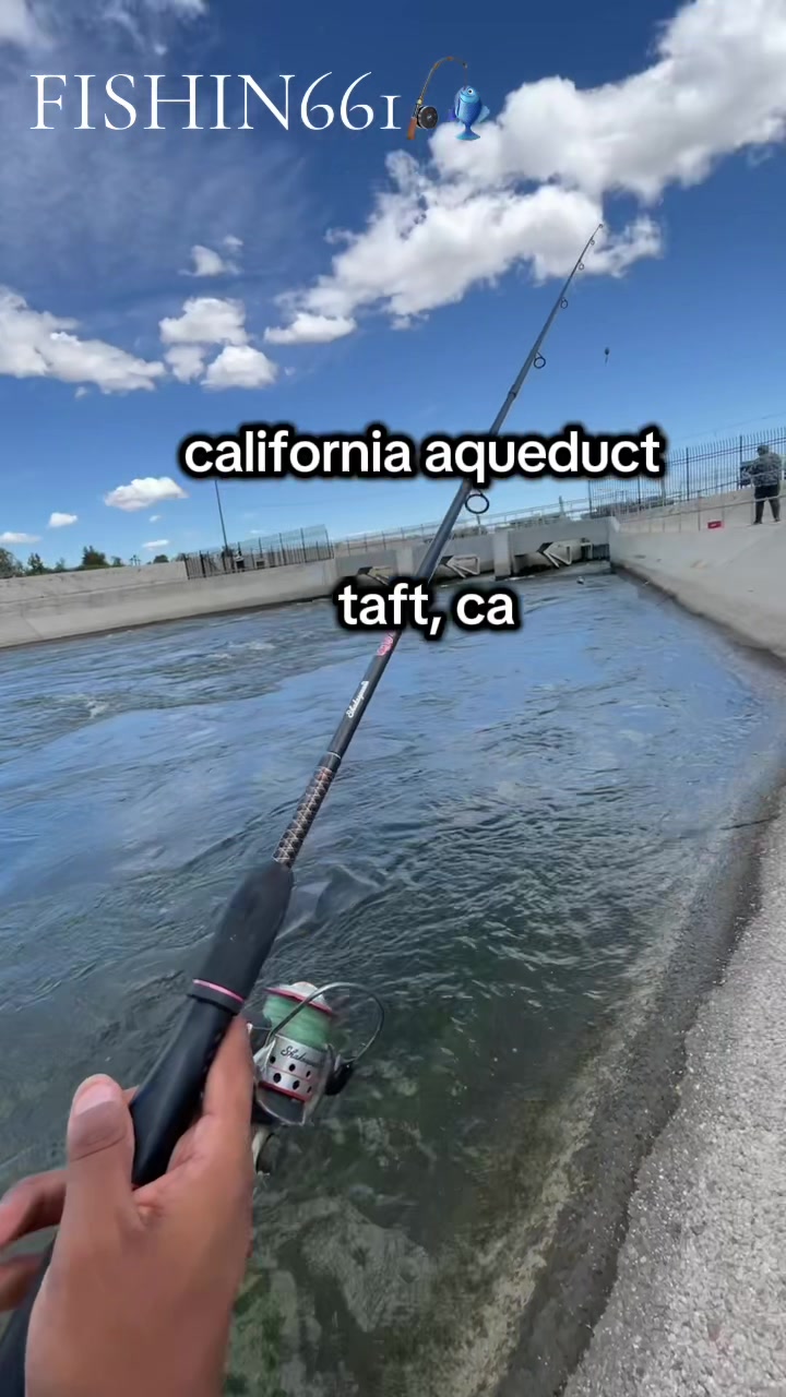 @kernfishing661_