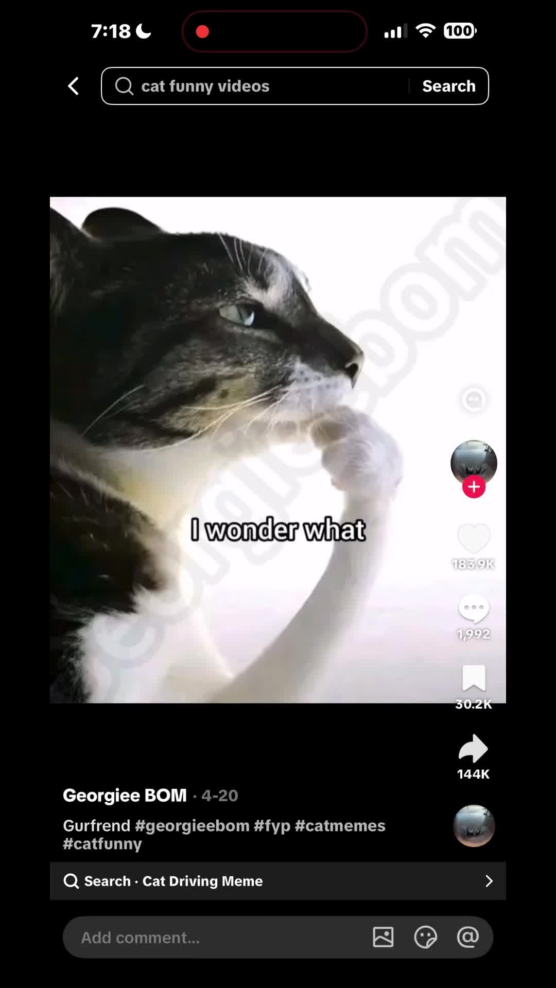 @bunnysophie3