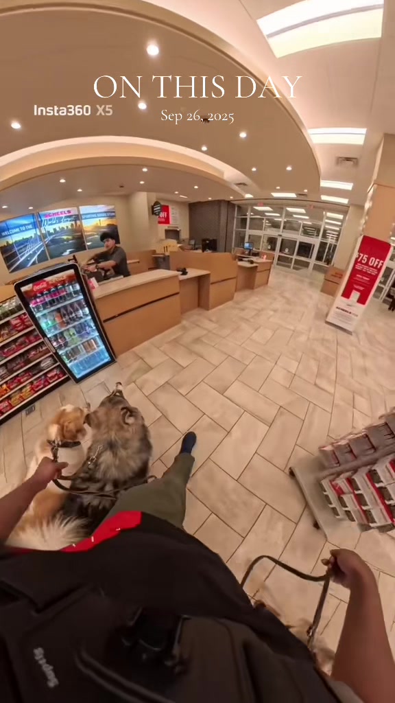@Neko, Tokahli and Bear