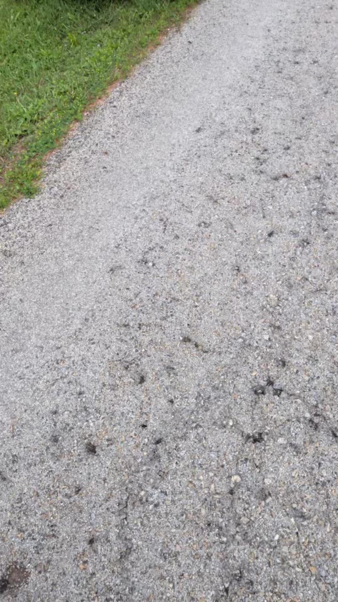 @that 5.9 Cummins