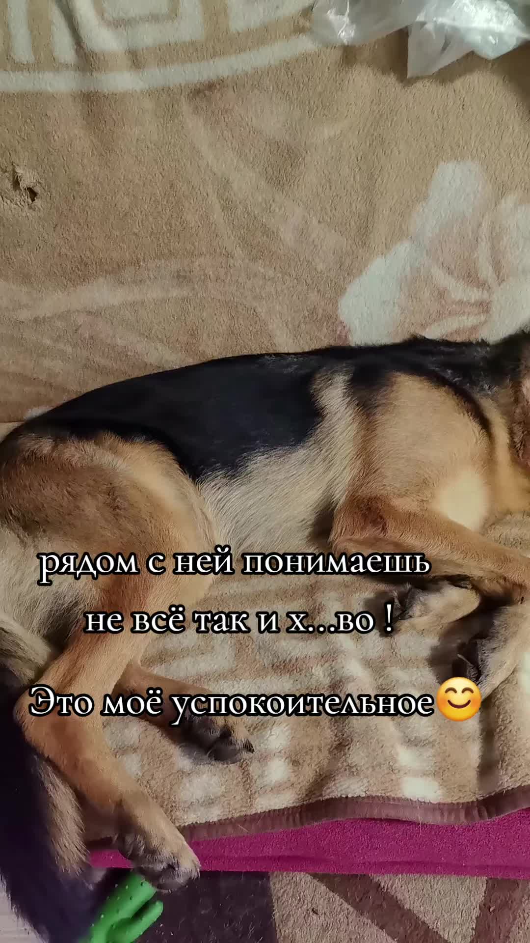@Лена