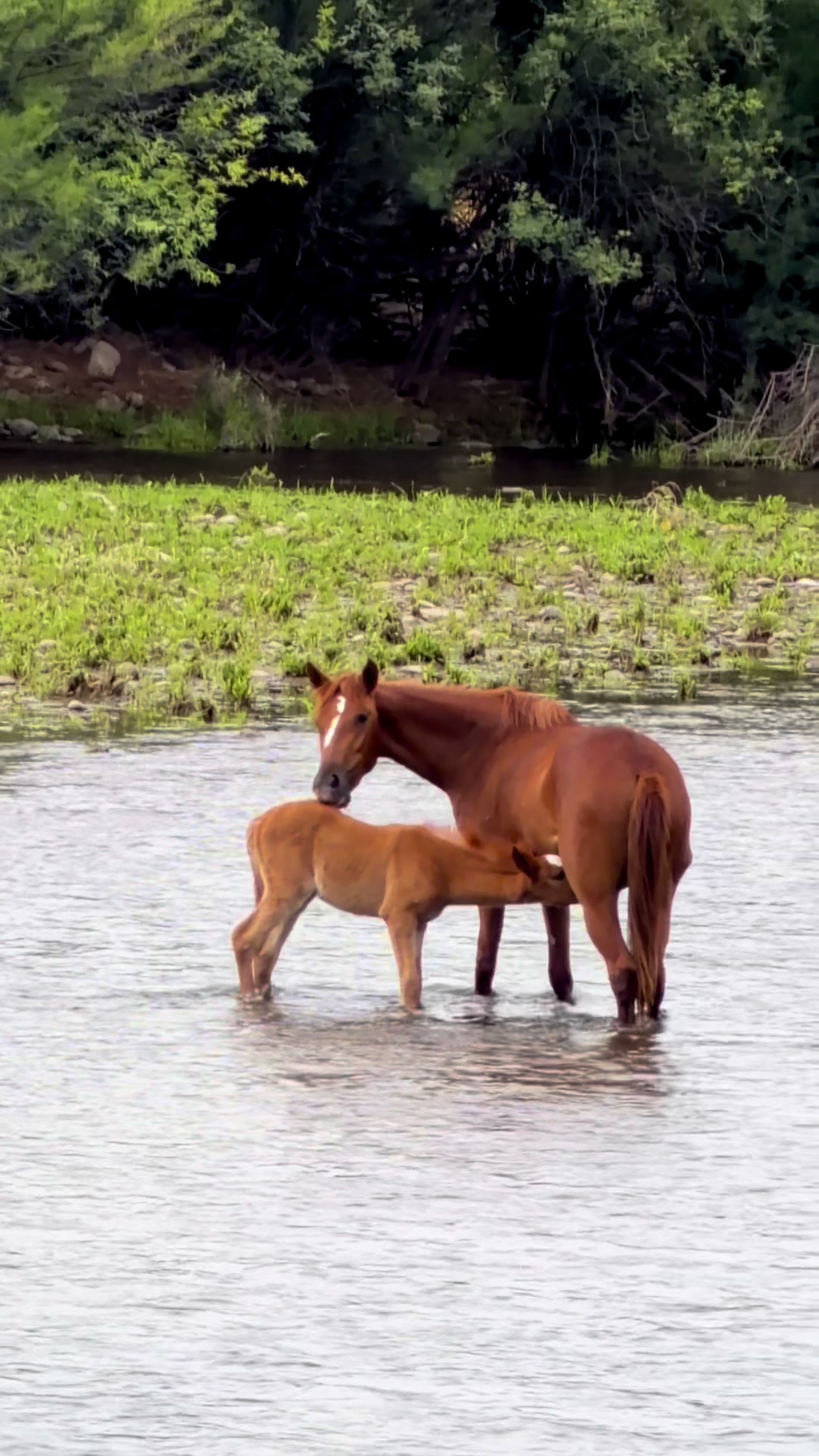 @ASMR Nature Love
