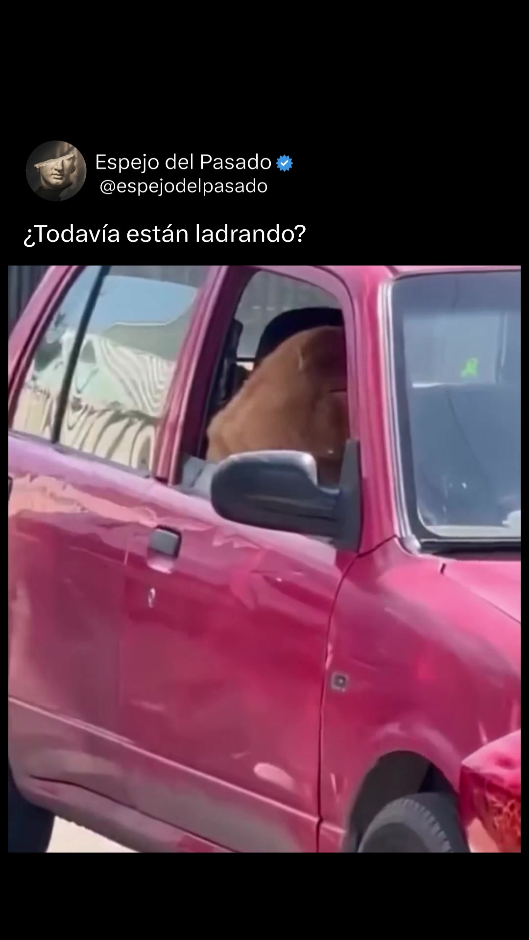 @espejodelpasado
