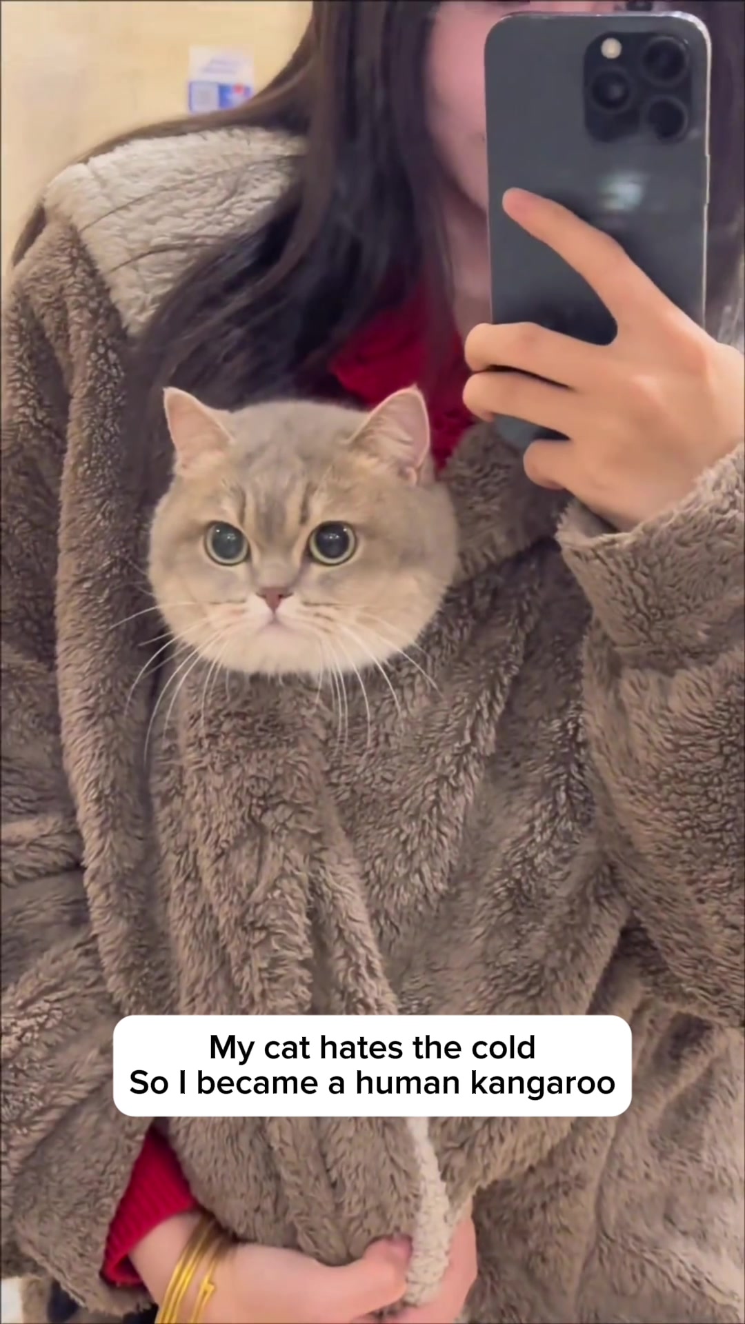 @Purrfect Oasis