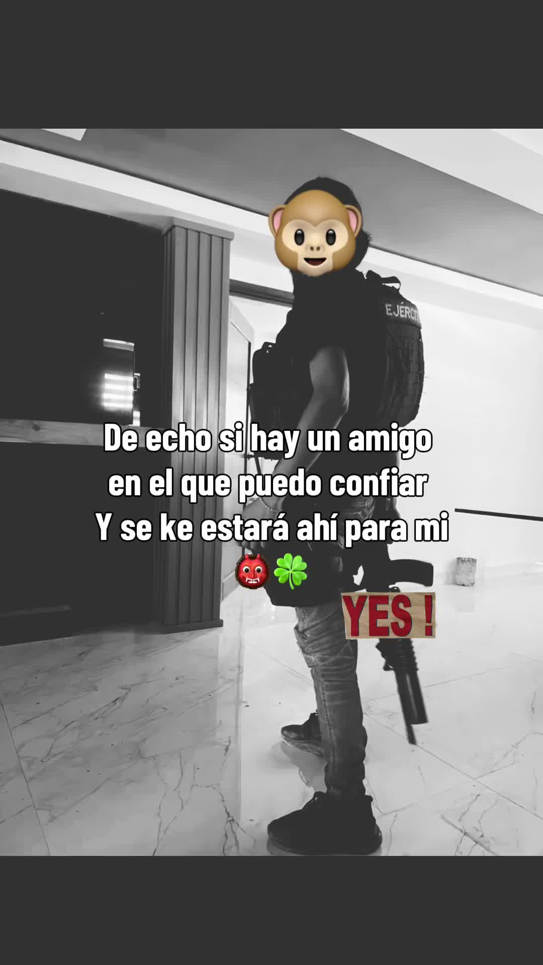 @MemitoCDN