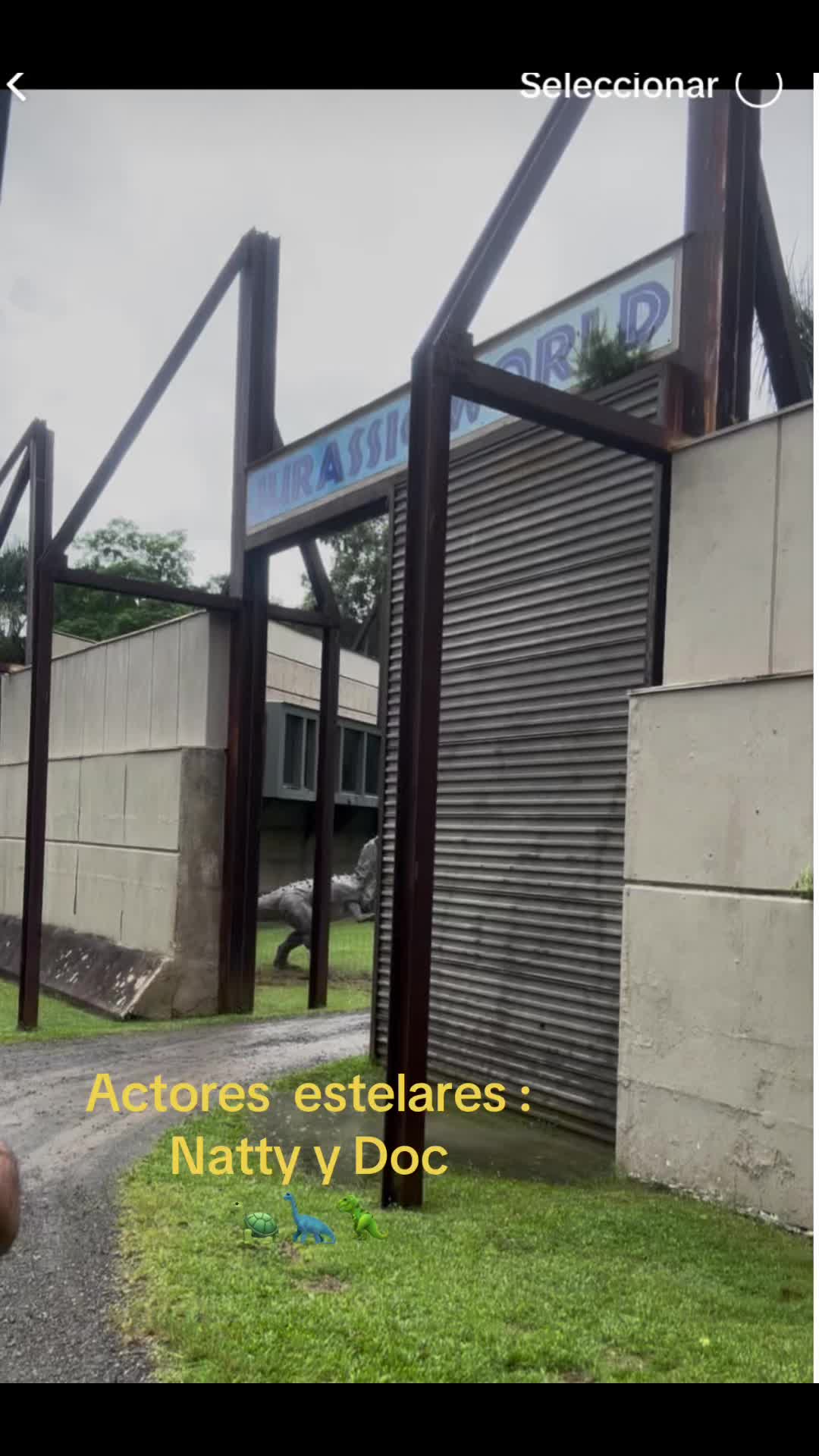 @Natty Delgado de Mar