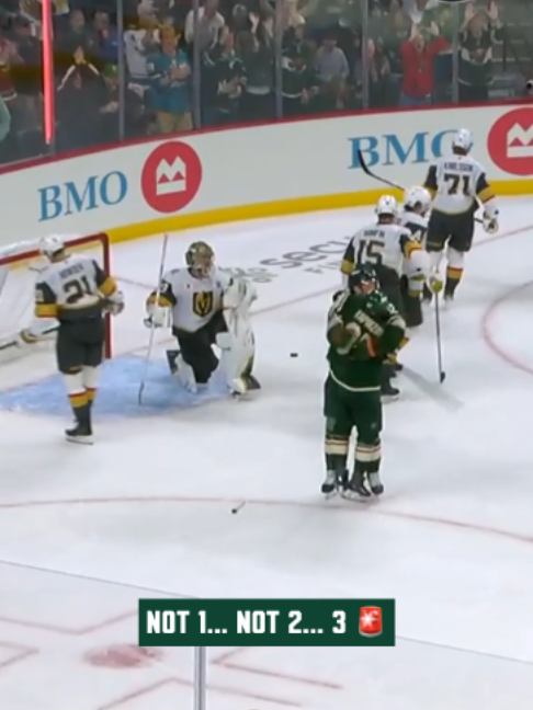 @Minnesota Wild