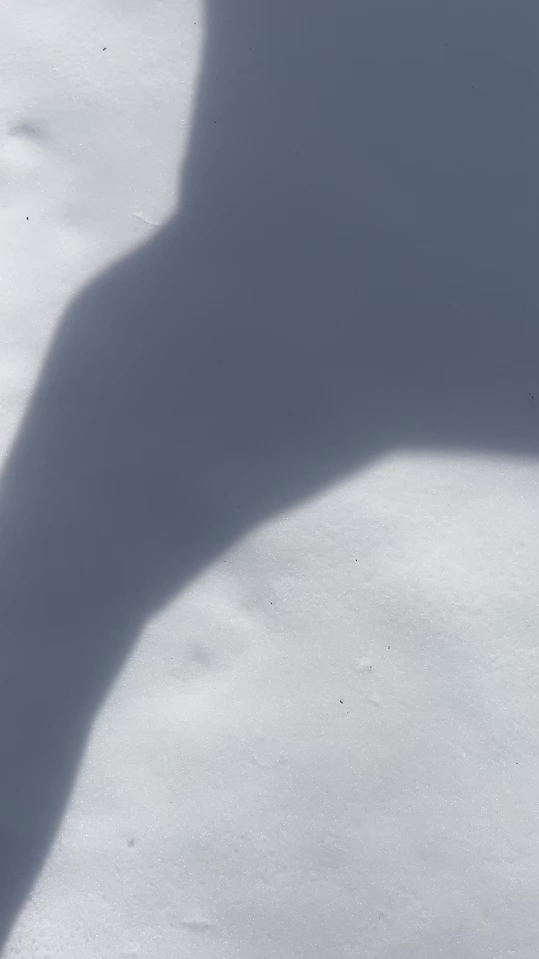 @UNKNOWN.