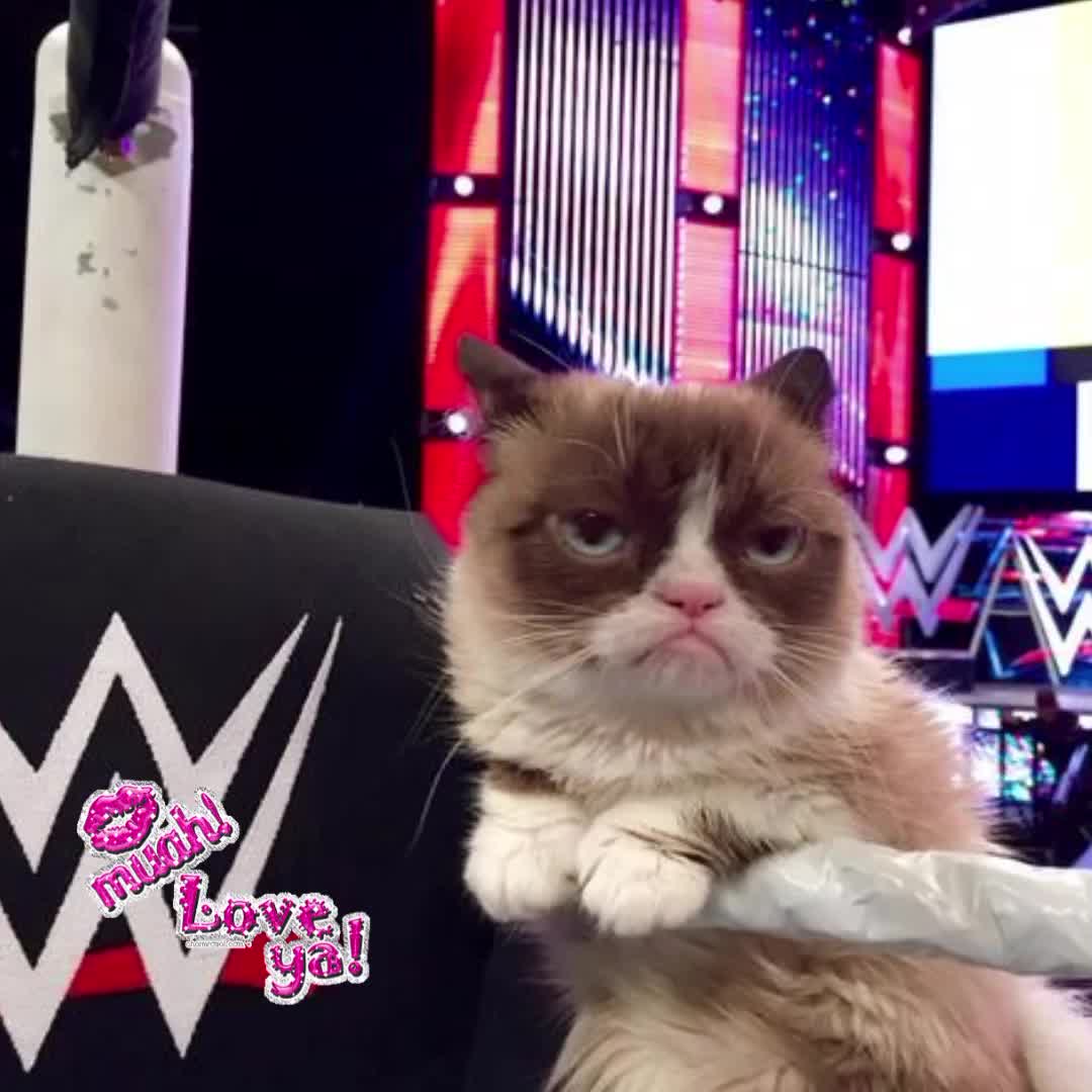 @The Rated Botches Superstar.
