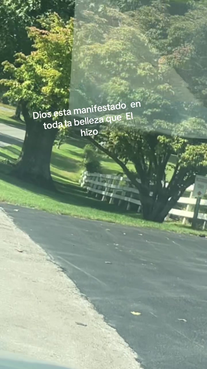 @LUCIA VASQUEZ LEMUS🌷