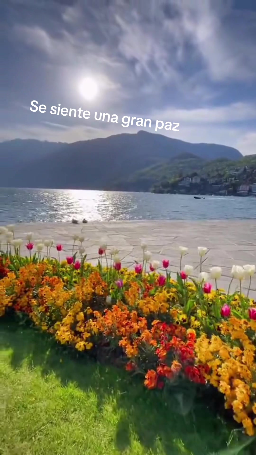 @sofibertotti