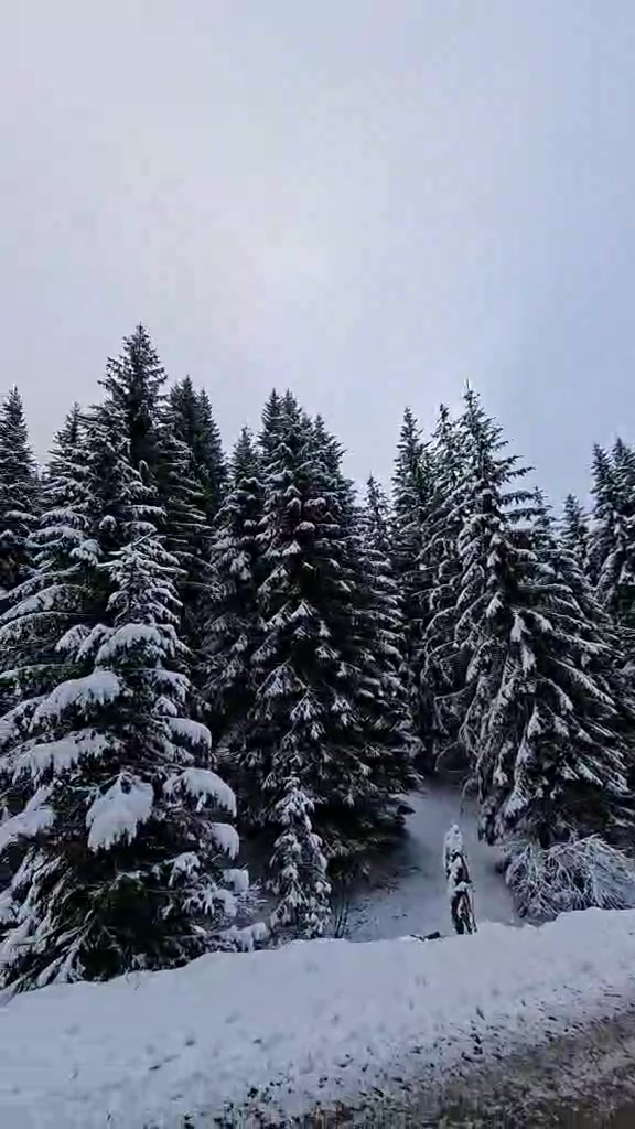 @mergimkrasniqi