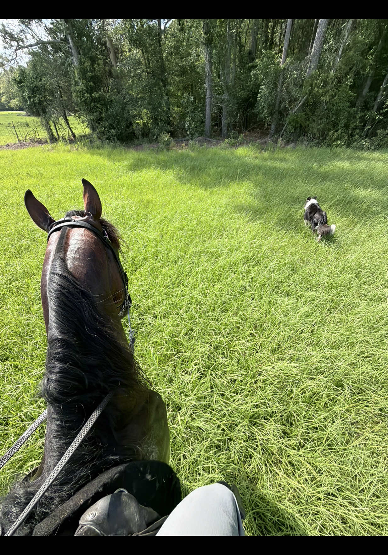 @Devin White ๐ GetLiveStables