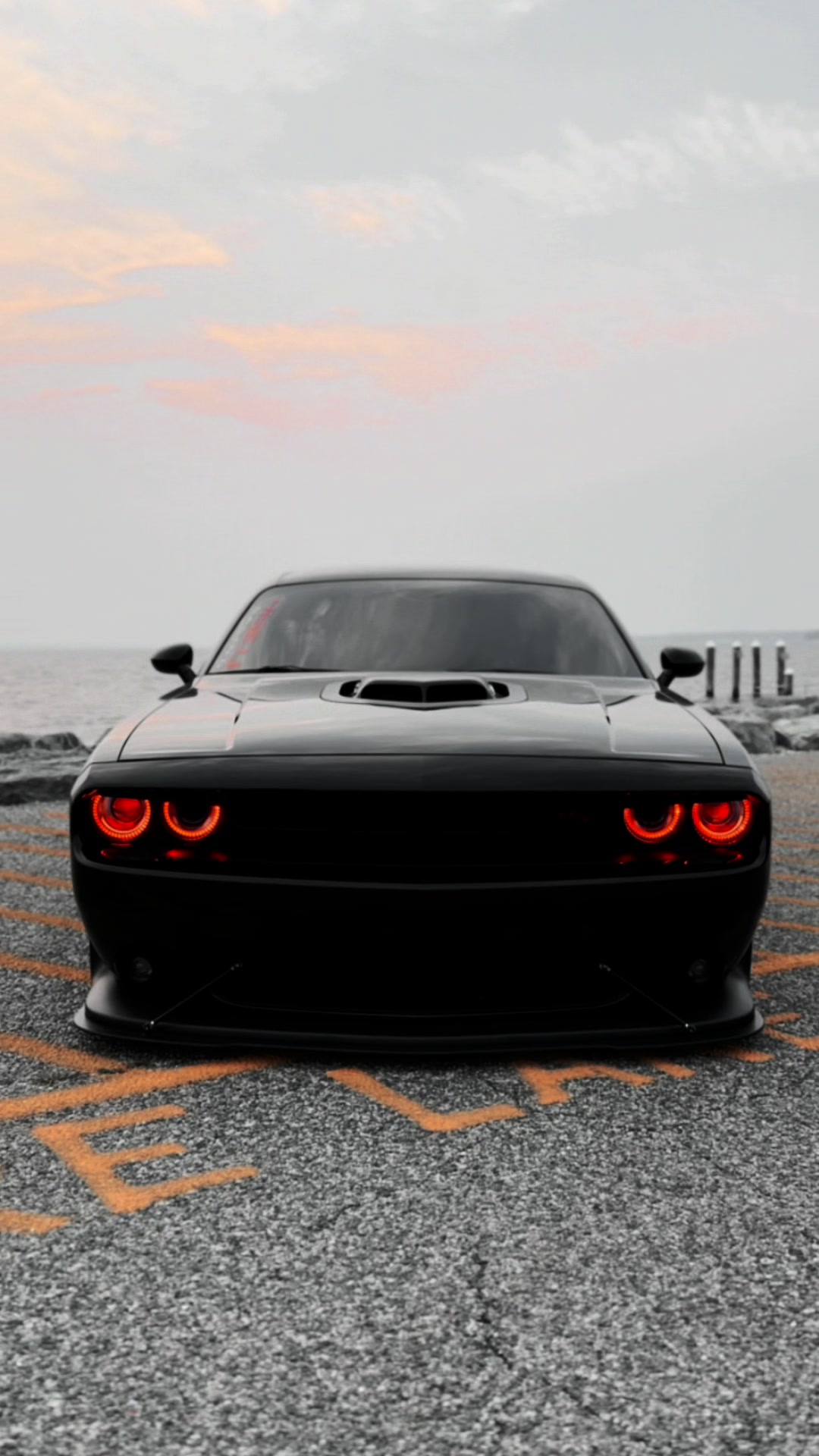 @Scatpack Bee 🐝