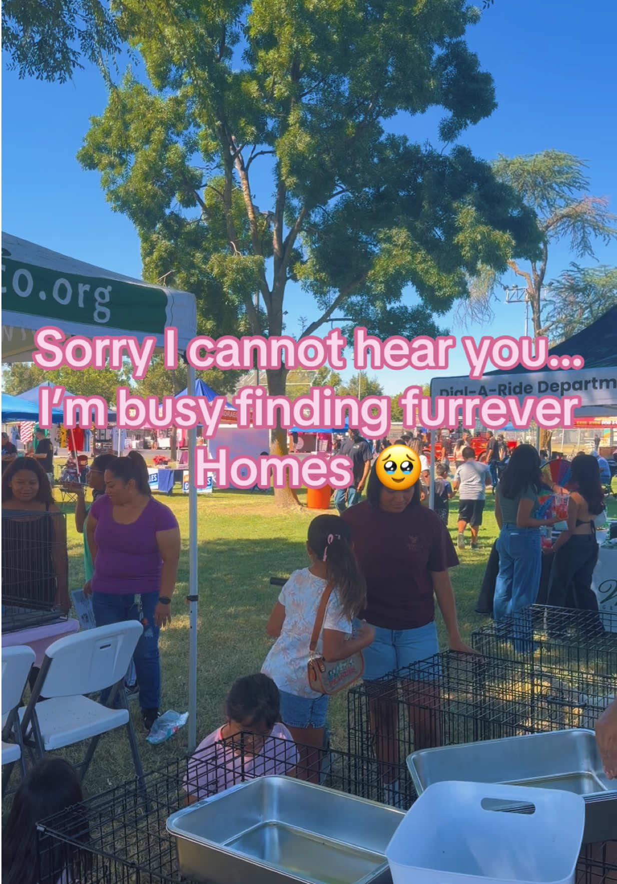 @✰♡︎✽𝐁𝐔𝐍𝐍𝐘✽♡︎✰