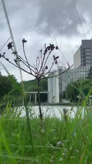 @GDPUVibes🇨🇳🇵🇰